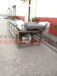 貴州魚腥草清洗機(jī)三七花鼓泡式清洗機(jī)